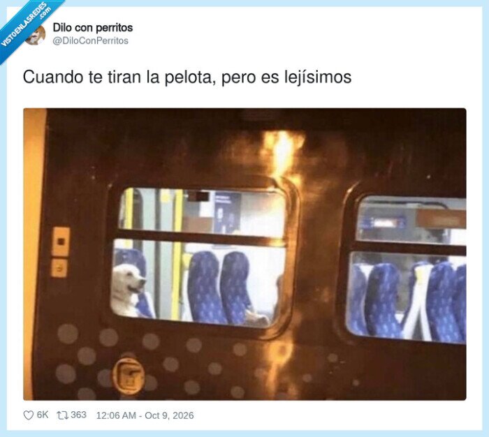 perros,pelota,tren,mascotas,viajes