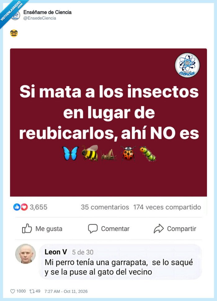 insectos,garrapatas,vecinos,gatos,humornegro