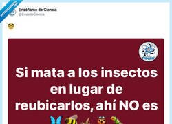 Enlace a Reubicación de insectos con criterio vecinal, por @EnsedeCiencia