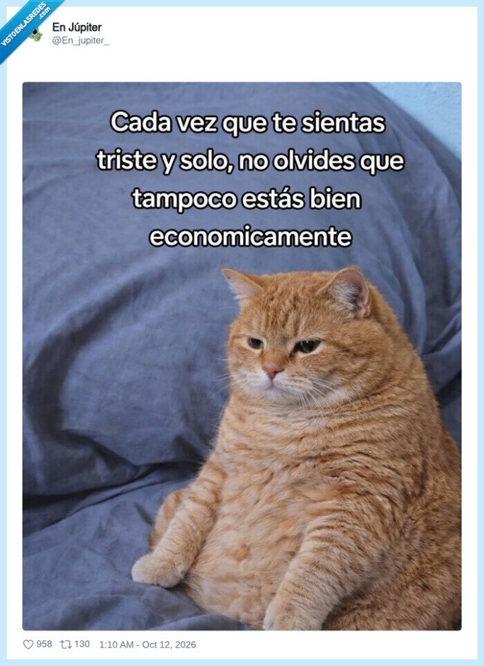 gatos,dinero,tristeza,&aacute;nimo,econom&iacute;a
