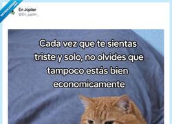 Enlace a Un mensaje de ánimo con muy mala leche, por @En_jupiter_