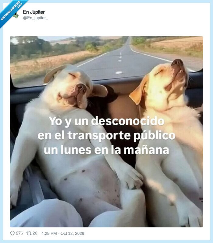 transportep&uacute;blico,lunes,dormir,perros,desconocidos
