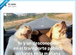 Enlace a La intimidad en el transporte público de un lunes por la mañana, por @En_jupiter_