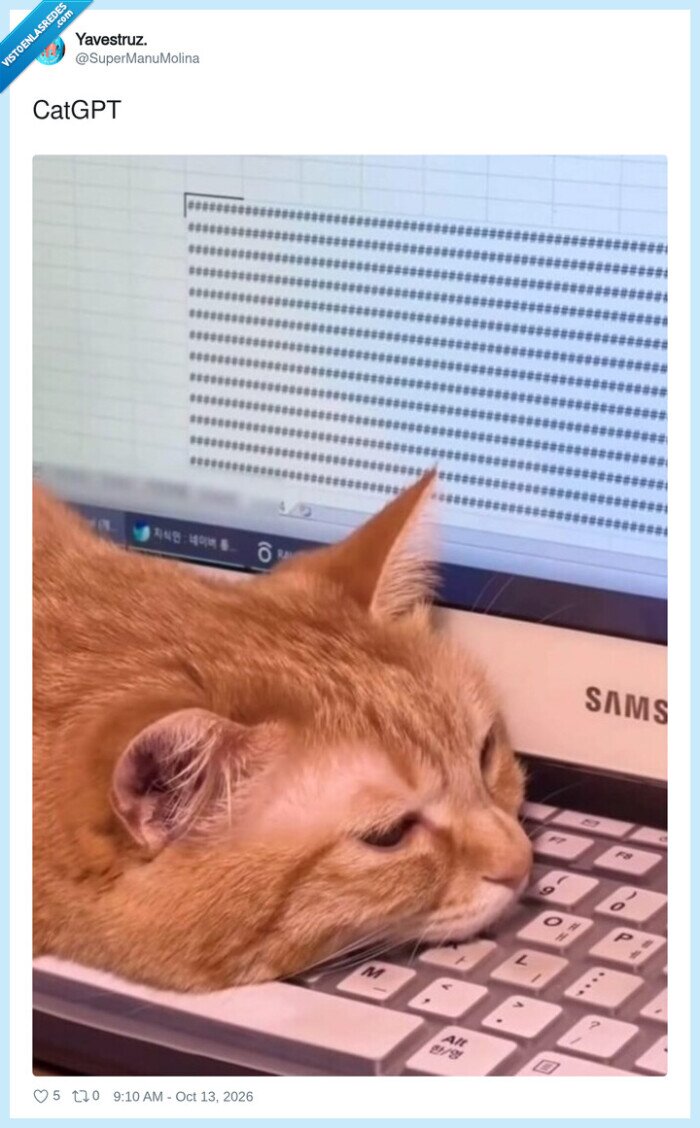 gatos,ChatGPT,IA,teclado,mascotas