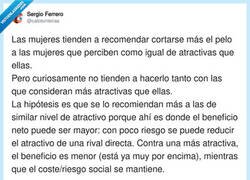 Enlace a La ciencia confirma lo que todas las peluquerías sospechaban, por @calotonterias