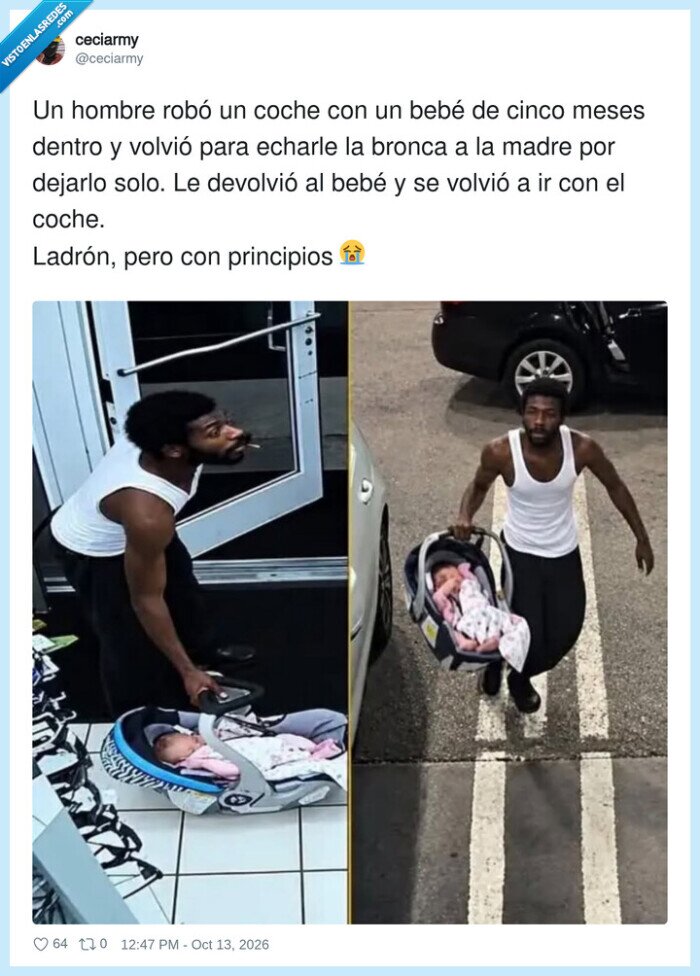ladrones,beb&eacute;s,coches,curiosidades,noticias