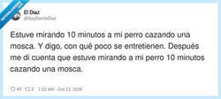 Enlace a El plan de ocio más honesto de toda la semana, por @SoyDaniloDiaz