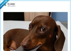 Enlace a Lo único que llega puntual a final de mes, por @En_jupiter_