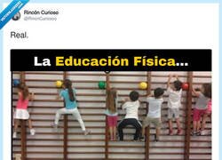 Enlace a La asignatura con más salidas profesionales del currículo, por @RincnCuriosoo
