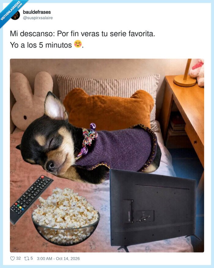 perros,series,siesta,sof&aacute;