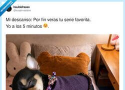 Enlace a Maratón de series nivel experto: KO en el primer capítulo, por @suspirxsalaire