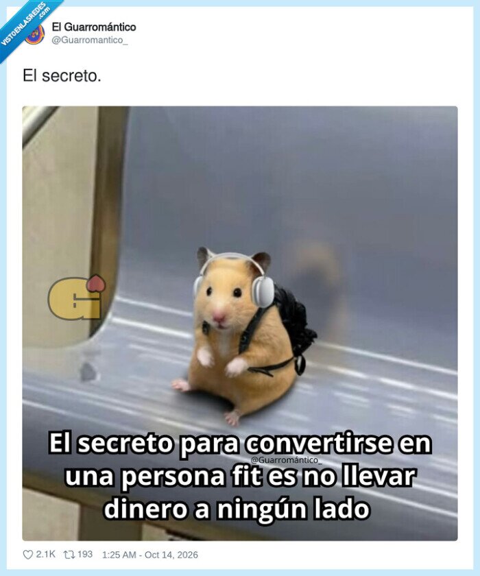 dinero,deporte,h&aacute;mster