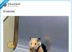 Enlace a Método de adelgazamiento infalible y sin gimnasio, por @Guarromantico_