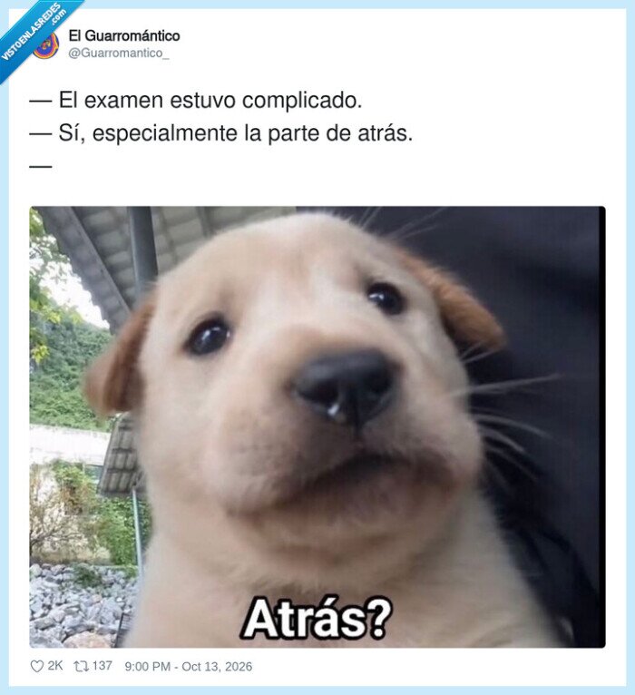 1762222 - El examen salió bien por delante, por @Guarromantico_