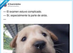 Enlace a El examen salió bien por delante, por @Guarromantico_