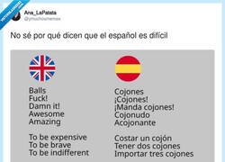 Enlace a El idioma más versátil del mundo, por @ymuchosmemes