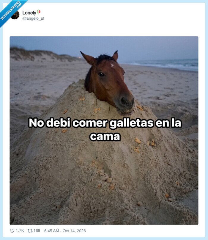 galletas,cama,caballos