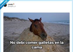 Enlace a Encontrarse una galleta en la cama, versión playa, por @angelo_uf