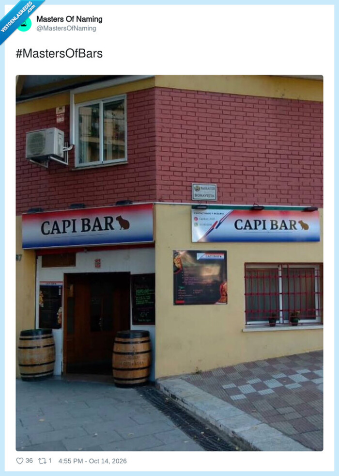 bares,nombres,capibaras,juegos de palabras