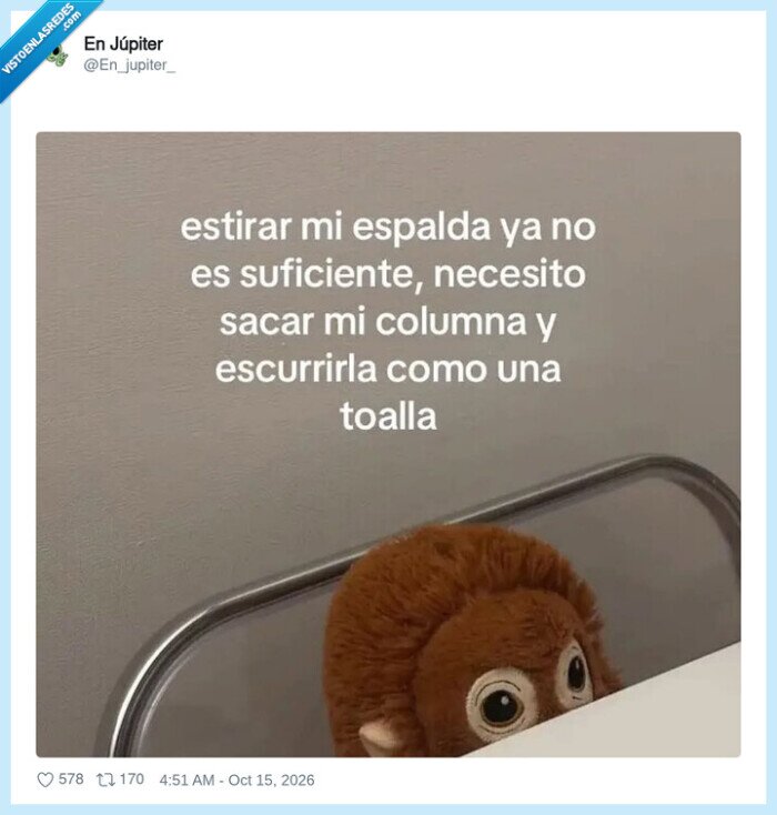 espalda,dolor,estiramientos