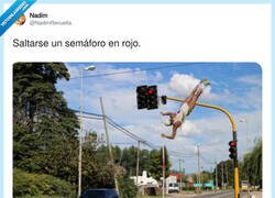 Enlace a Saltarse un semáforo, versión literal, por @NadimRevuelta