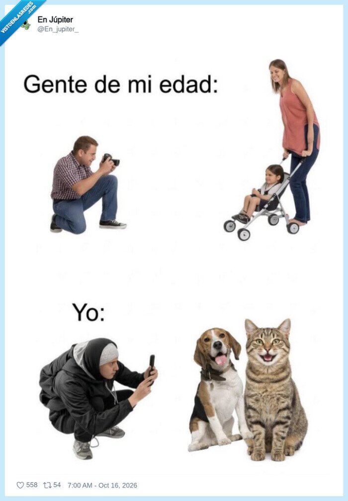 mascotas,gatos,perros,generaciones