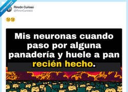 Enlace a El efecto hipnótico de una panadería a primera hora, por @RincnCuriosoo