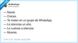 Enlace a La vida resumida en seis notificaciones, por @WanchopeMr