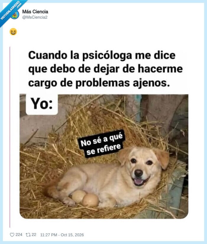 psic&oacute;logos,perros,problemas