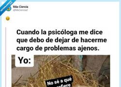 Enlace a Cargar con los problemas de todos tiene premio, por @MsCiencia2