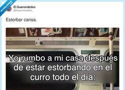 Enlace a Estorbar todo el día también agota, por @Guarromantico_