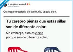 Enlace a La lección de psicología más útil del año, por @ErigolDelViento