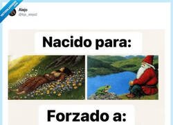 Enlace a Nacido para disfrutar de la naturaleza, forzado a vivir en Excel y levantarse a las 6 de la mañana, por @bjs_alejo2