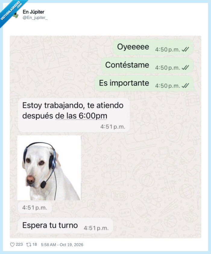 whatsapp,perros,trabajo