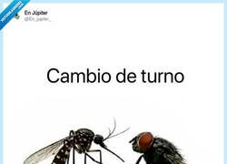 Enlace a El relevo más odiado de la naturaleza, por @En_jupiter_