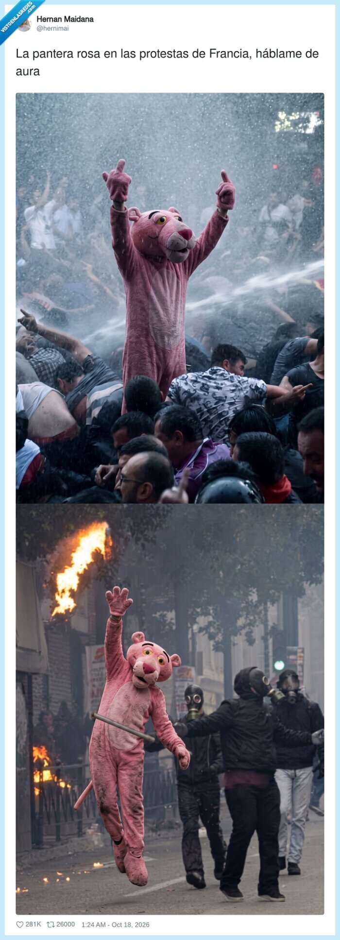 1763168 - La pantera rosa descubrió que las protestas francesas tienen mejor crítica que sus películas, por @hernimai