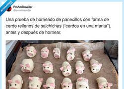 Enlace a Los cerditos antes de descubrir qué es un horno, por @pmamtraveller