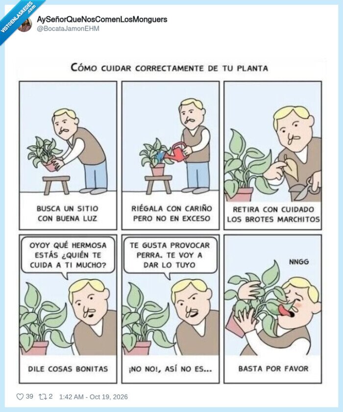 plantas,c&oacute;mic,cuidados,acoso