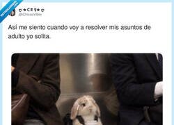 Enlace a Haciendo papeleo en el banco con la seguridad de un adulto y el pánico de un conejito, por @iChicasVibes