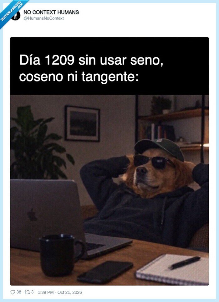 matem&aacute;ticas,trigonometr&iacute;a,estudios,perros