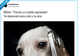Enlace a Lo de leer la letra pequeña lo dejamos para otra vida, por @suspirxsalaire