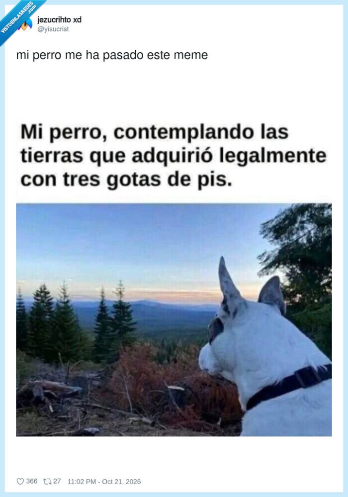perro,territorio,propiedad,paisaje,marcaje