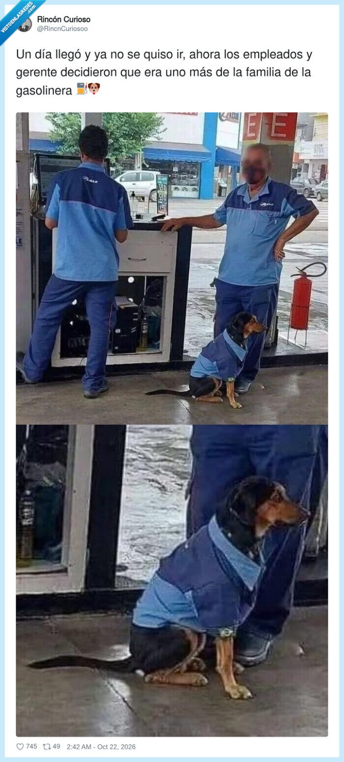perro,gasolinera,uniforme,empleado,lealtad