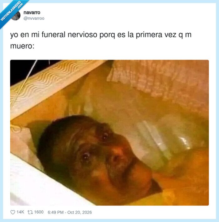 funerales,nervios,humor negro,primera vez