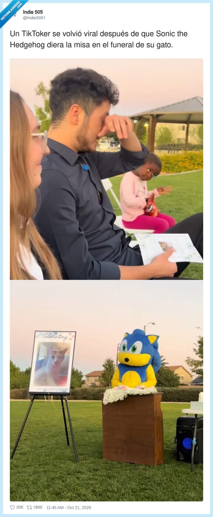 sonic,funerales,gatos,tiktok