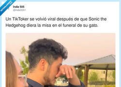 Enlace a Sonic presidiendo el funeral de un gato: no sabemos qué está pasando pero queremos estar invitados, por @Indie5051