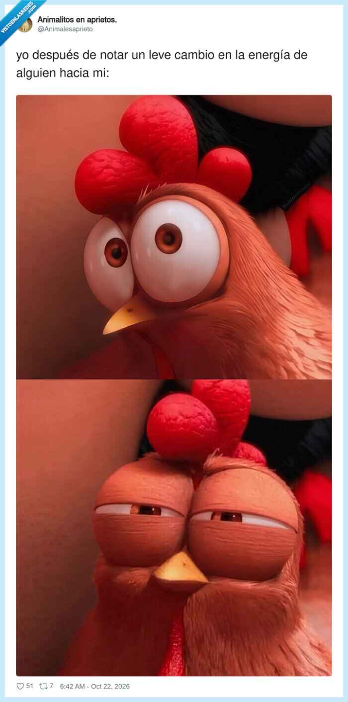 energ&iacute;a,ansiedad,gallinas,relaciones