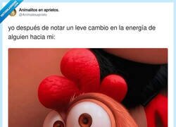 Enlace a Detectar un cambio de energía del 2% y tomárselo como algo personal, por @Animalesaprieto
