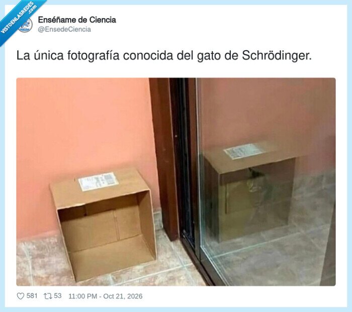 schr&ouml;dinger,gatos,f&iacute;sica,cajas