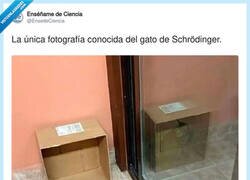 Enlace a Está y no está: la ciencia por fin tiene una prueba gráfica, por @EnsedeCiencia
